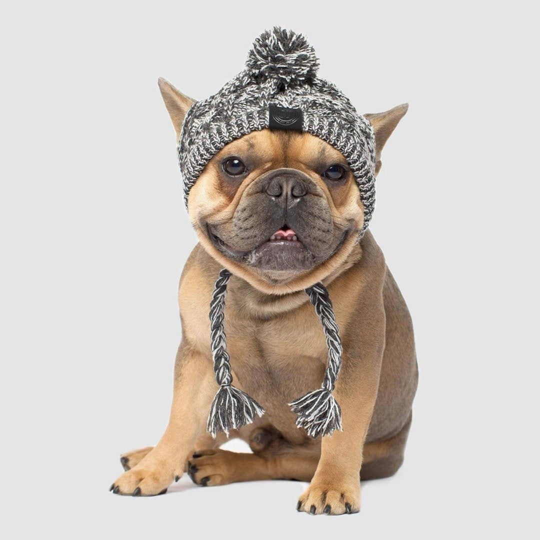 Windproof Knit Hat for Dogs
